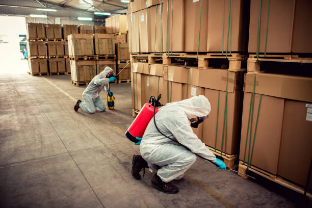 Best Cockroach Control Services  in Hartland, WI