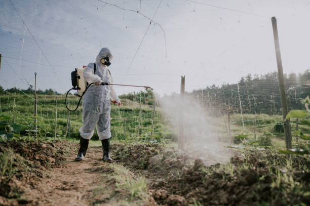 Best Best Pest Control Companies  in Hartland, WI