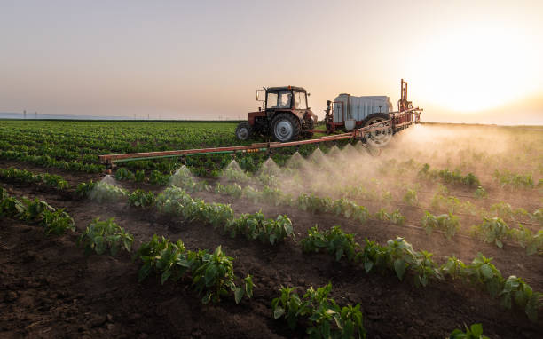 Best Ant Control Services  in Hartland, WI