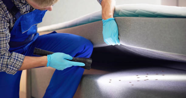 Best Bed Bug Extermination  in Hartland, WI