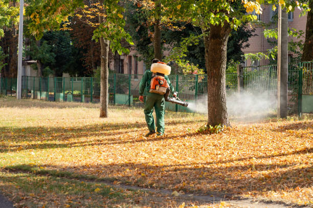 Best Termite Control Services  in Hartland, WI